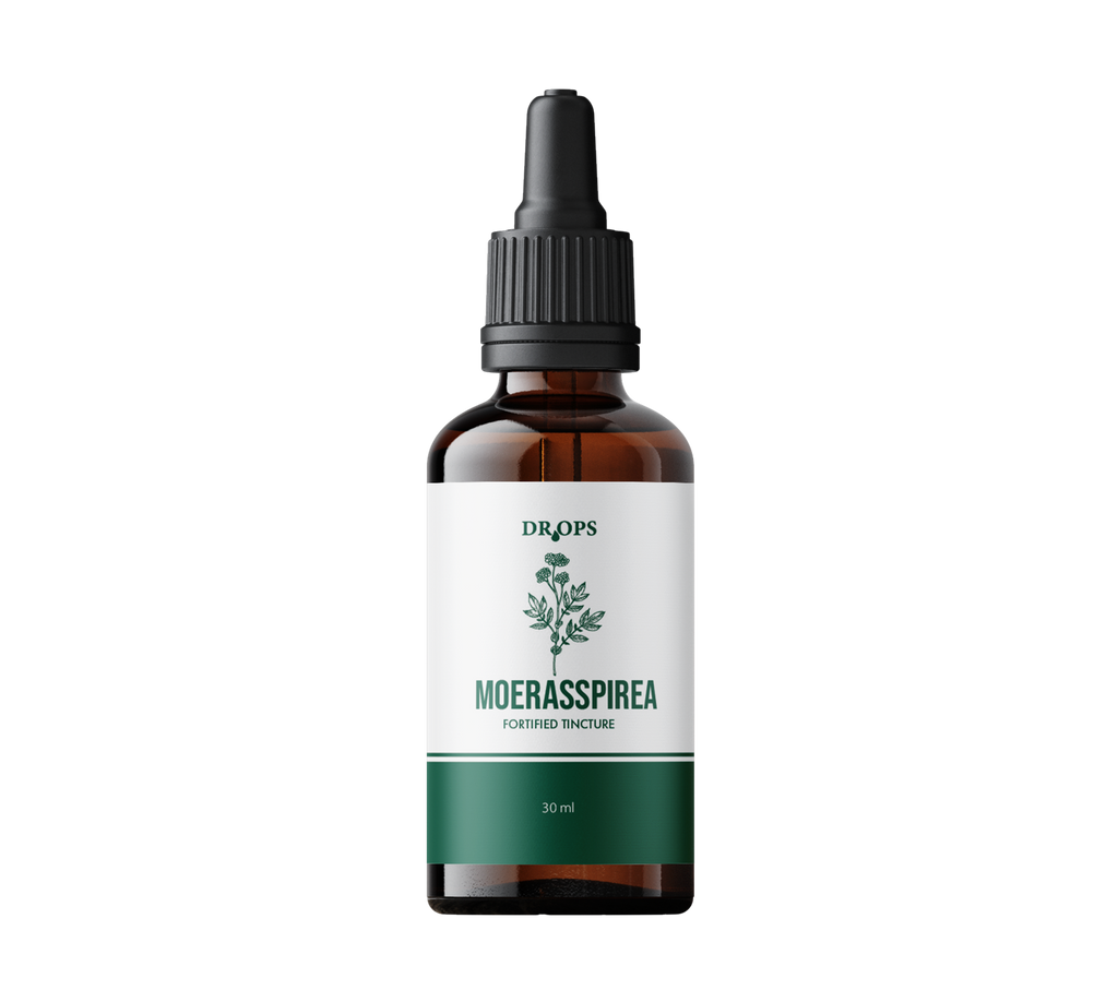 Moerasspirea