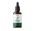 Sarsaparilla