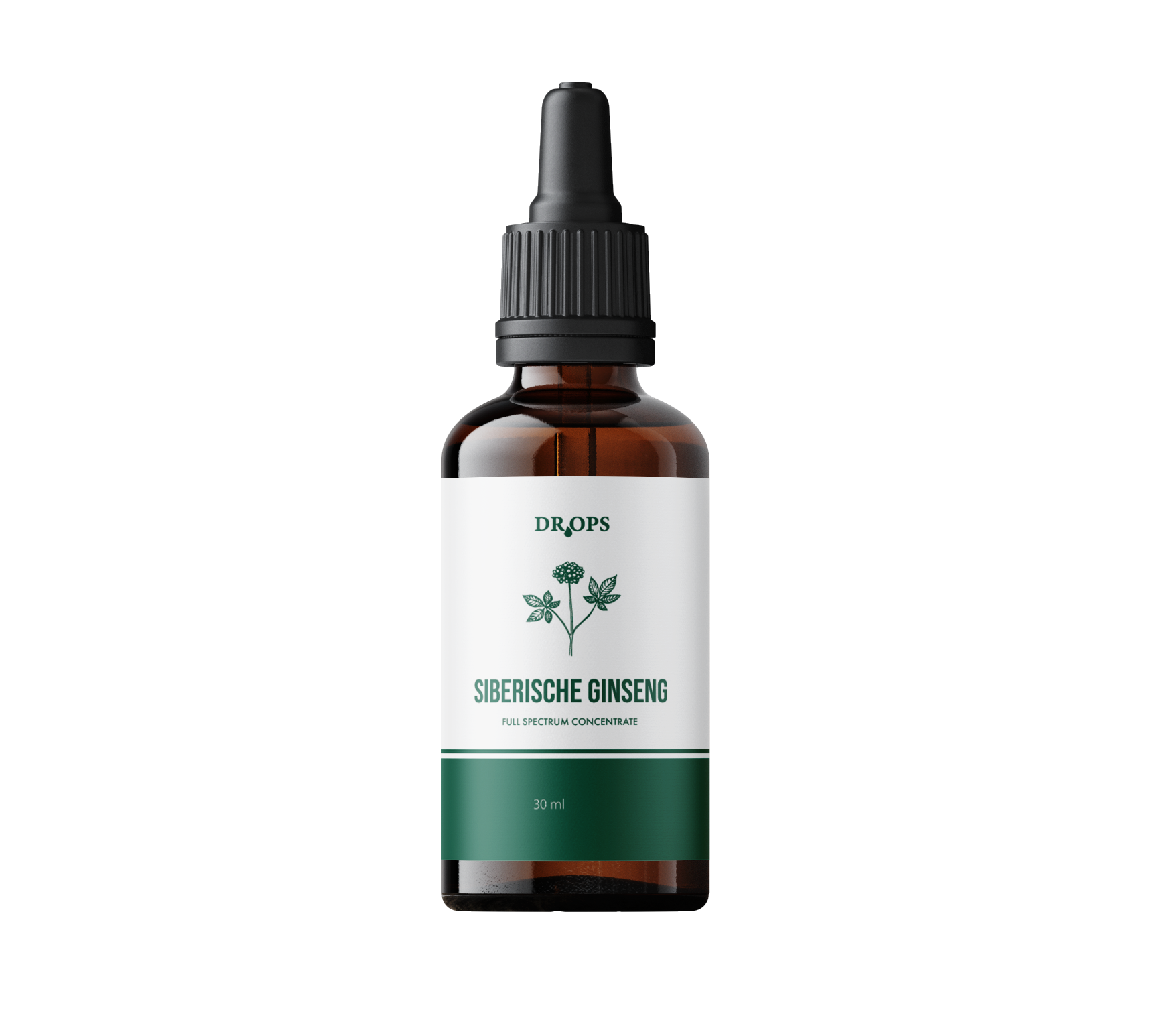 Siberische Ginseng