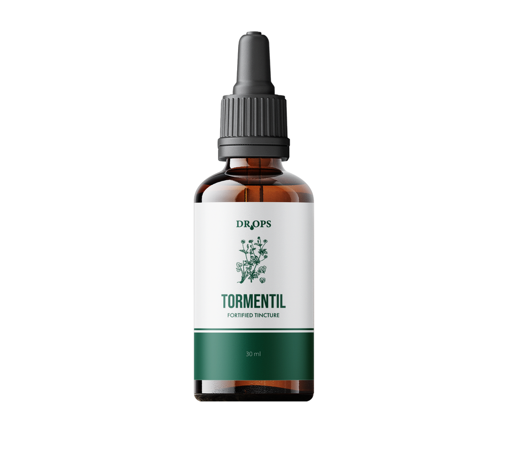 Tormentil